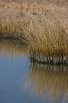 Hans (AbDiver)'s photo